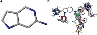 Combined 3D-QSAR, molecular docking and dynamics simulations studies to model and design TTK inhibitors